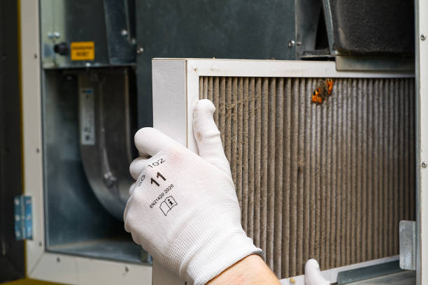 Best Residential Air Duct Cleaning  in Fraser, MI