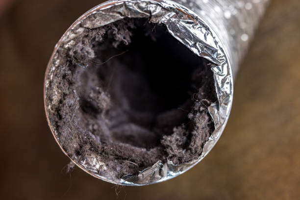Best Air Duct Cleaning Near Me  in Fraser, MI