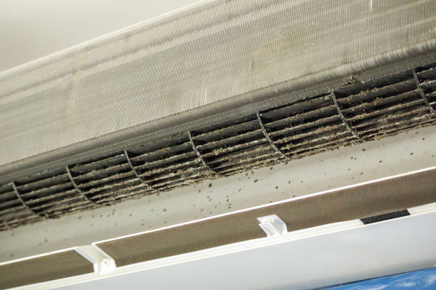 Best Air Duct Cleaning Near Me  in Fraser, MI