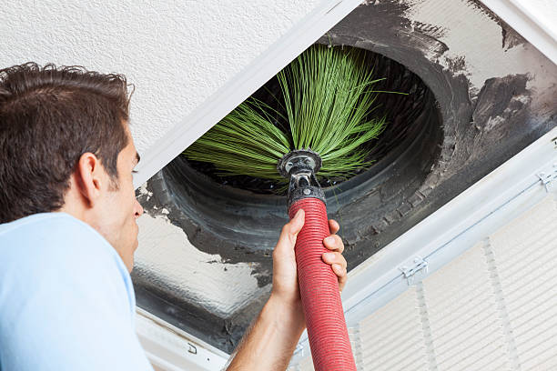 Best HVAC Maintenance and Cleaning  in Fraser, MI